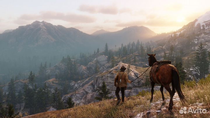 Red Dead Redemption 2 (PS4/PS5) Барнаул