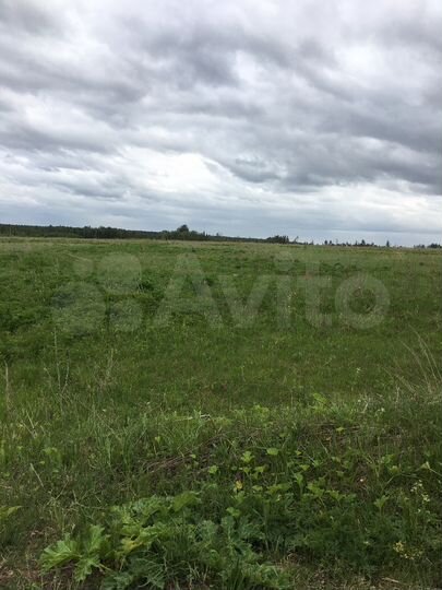 Участок 13,5 га (СНТ, ДНП)