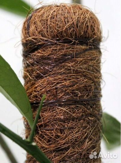 Кокосовая опора для растений