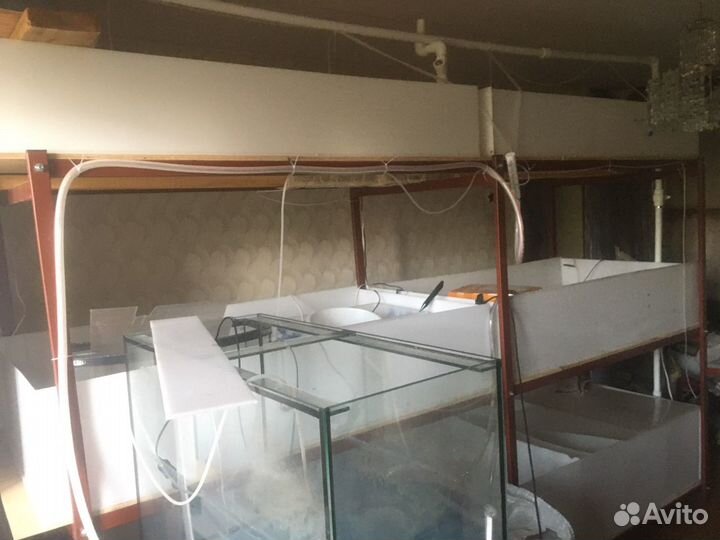 Узв для ракообразных