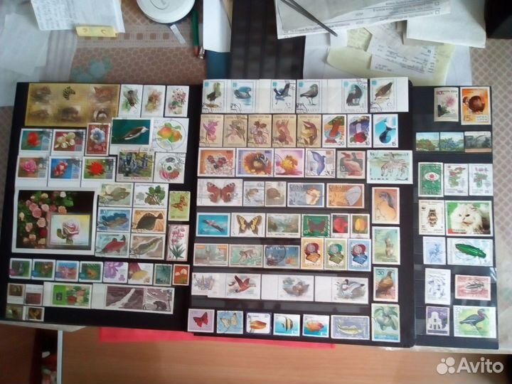 2 блока** + сотня разных марок мира 