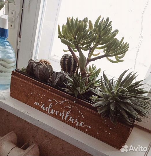 Кашпо для цветов