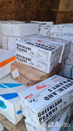 Северная креветка