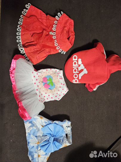 Одежда для маленьких собак