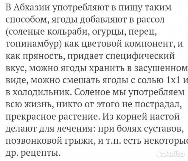 Фитолакка (лаконос), горец Сахалинский