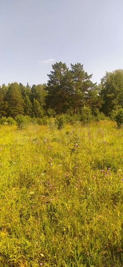 Участок 4,58 га (СНТ, ДНП)