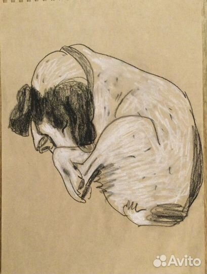 Рисунок собаки