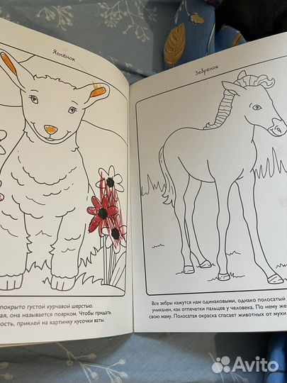 Расскраска постепы Детеныши дельфины махаон