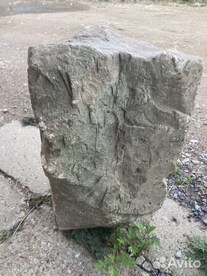 Камень 20 августа 1892 года