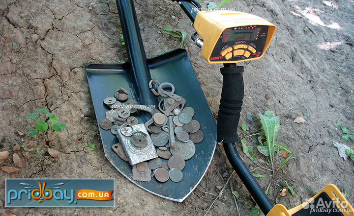 Металлоискатель garrett ACE 250 в аренду