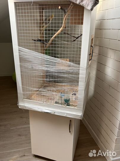 Попугаи корелла с клеткой