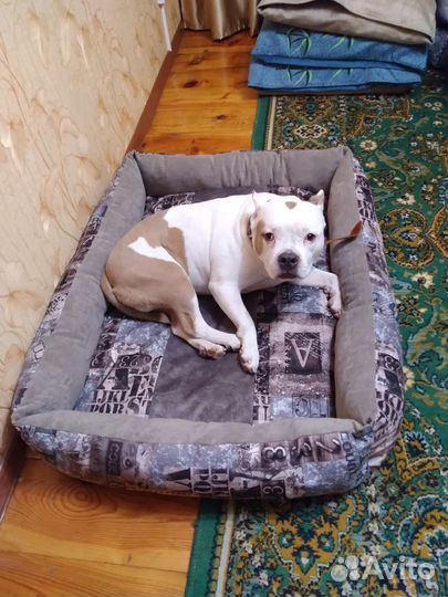 Лежанки больших размеров