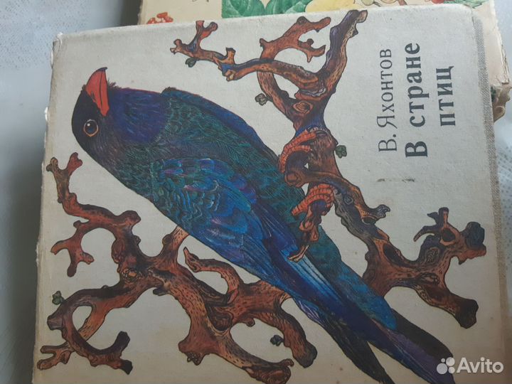 Книги о природе Дальнего Востока