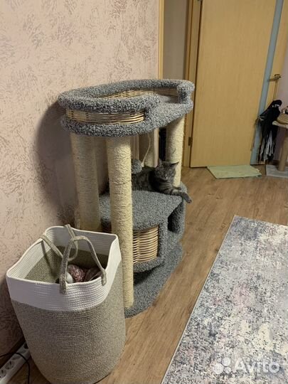 Корзина для белья или интерьера