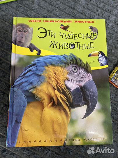 Серия книг «Энциклопедия животных»