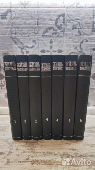 Энциклопедия жизнь животных СССР