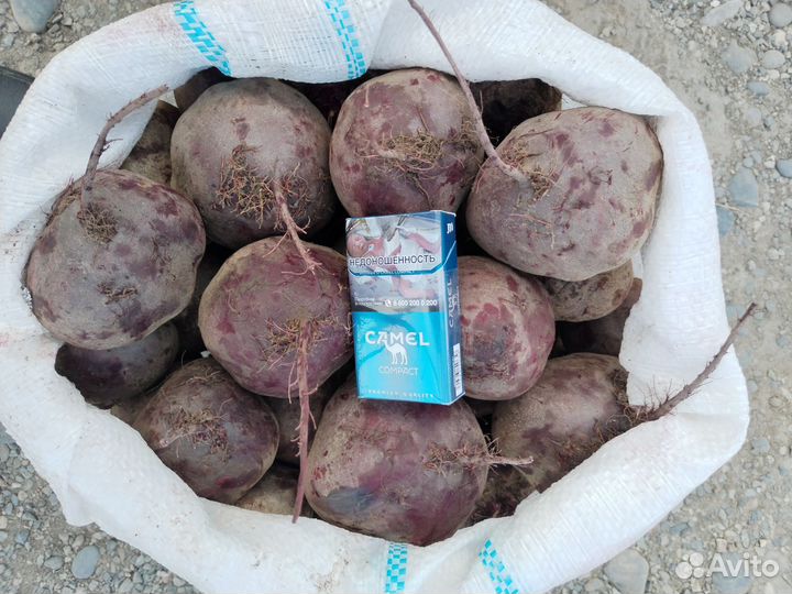 Продукты питания оптом