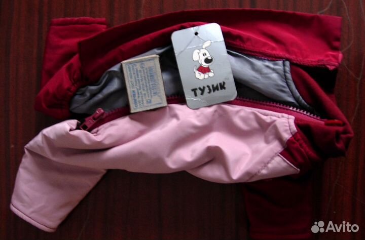 Комбинезон для тойтерьера