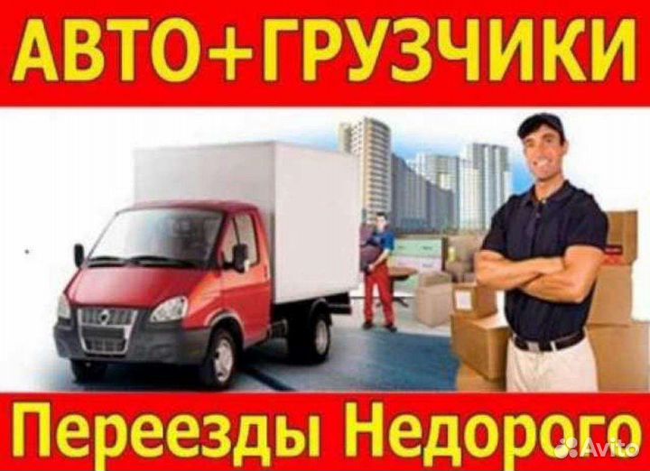 Грузоперевозки