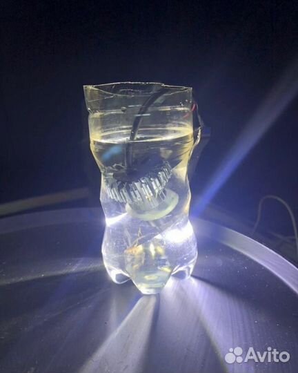 Вечные Led лампы на корейском чипе