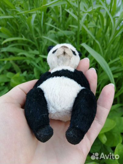 Панда тедди Panda тедди