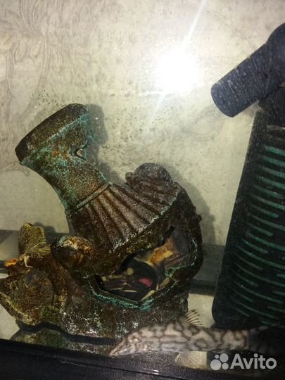 Аквариум с рыбкой