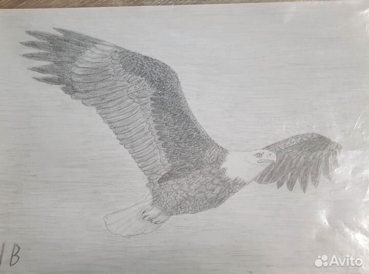 Картины карандашом А4