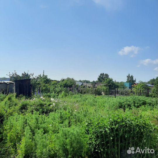 Покос травы