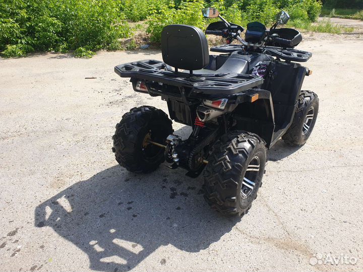 Avantis hunter big premium