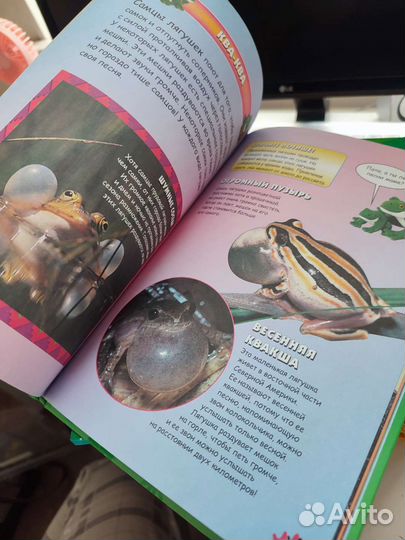 Коллекция книг царство животных