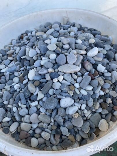 Грунт. Галька морская