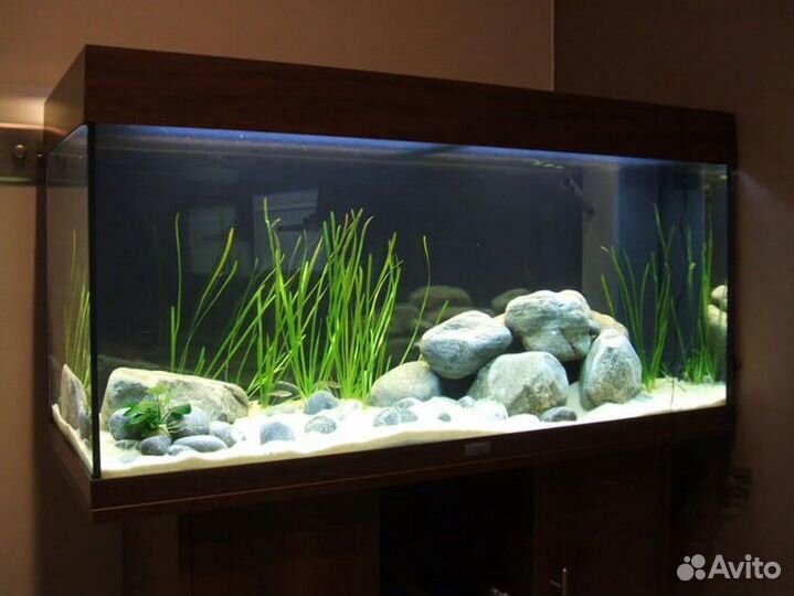 Обслуживание аквариума