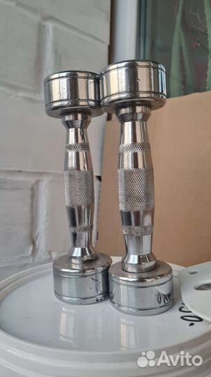 Гантели 1 кг