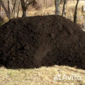 Чернозем