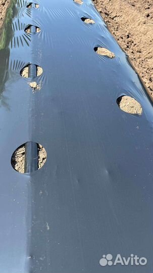 Нарезка бугров под Клубнику