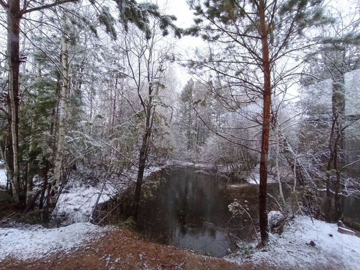 Участок 28 сот. (СНТ, ДНП)