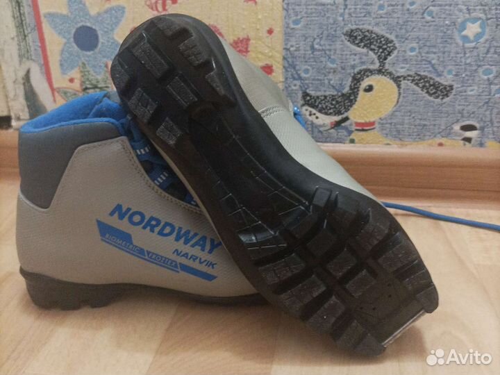 Лыжные ботинки