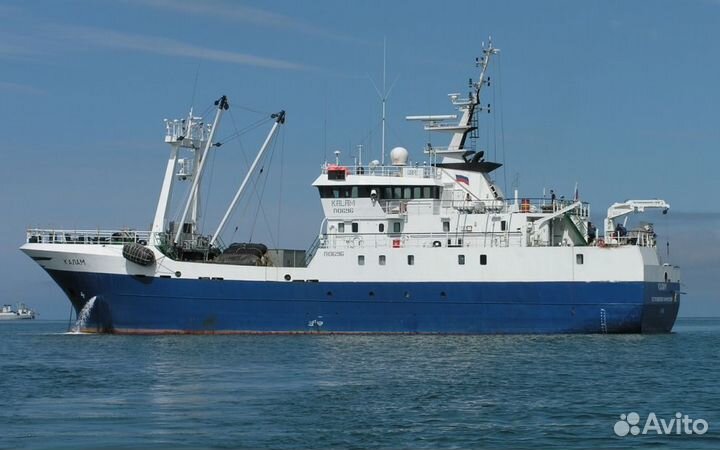 Инвестиции в рыбодобывающую продукцию