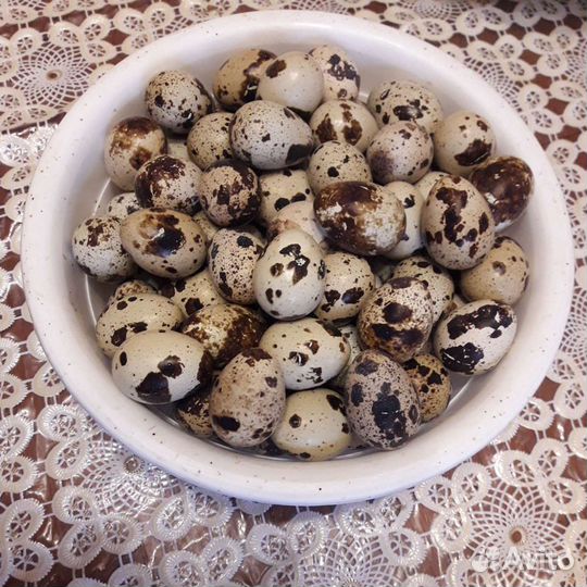 Яйца перепелиные