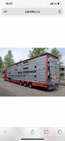 Скотовоз перевозка скота. крс Коров Нетелей Оленей