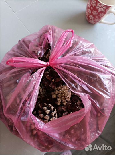 Шишки сосновые