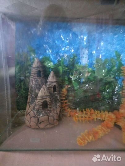 Аквариум 50 литров