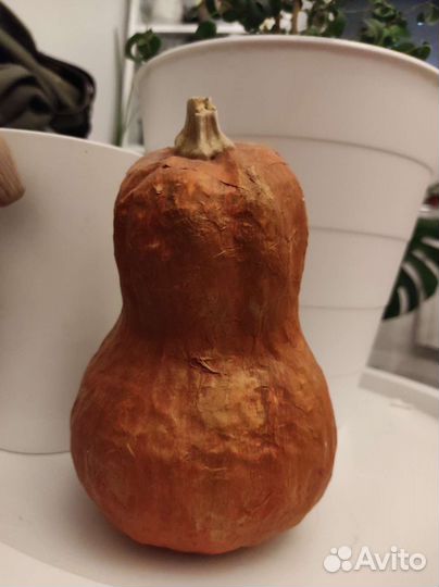 Тыква декоративная ручная работа