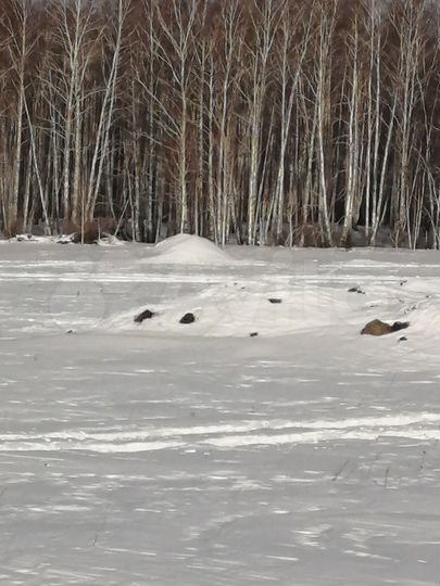 Участок 6,3 сот. (ИЖС)