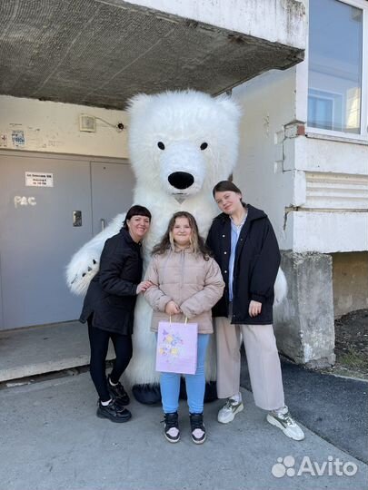 Поздравление от Белого мишки Пломбира