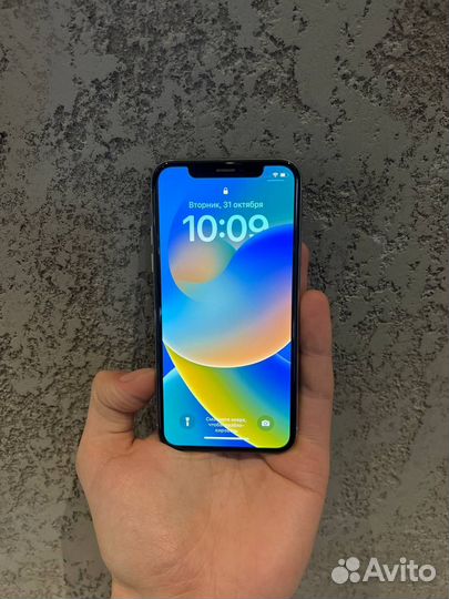 iPhone X, 256 ГБ