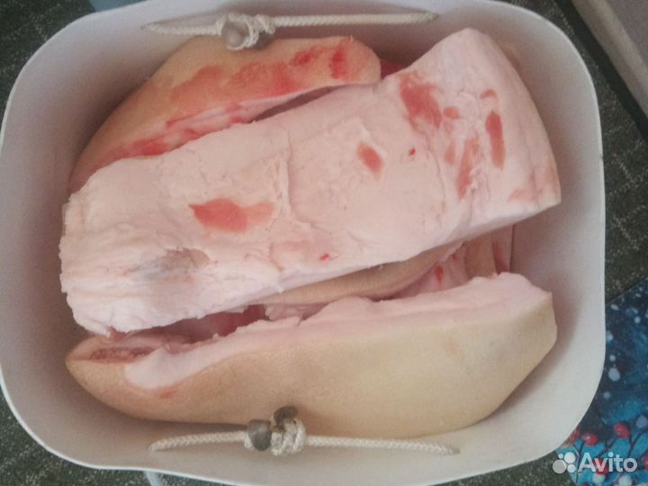Сало свиное свежее