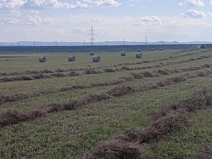 Сено в рулонах, Хилок