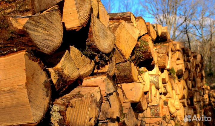 Дрова подсушенные