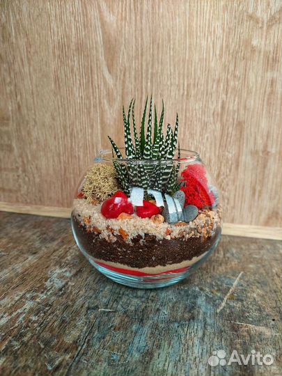 Флорариум в круглой вазе